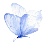 The Best Hotel Management Services in India